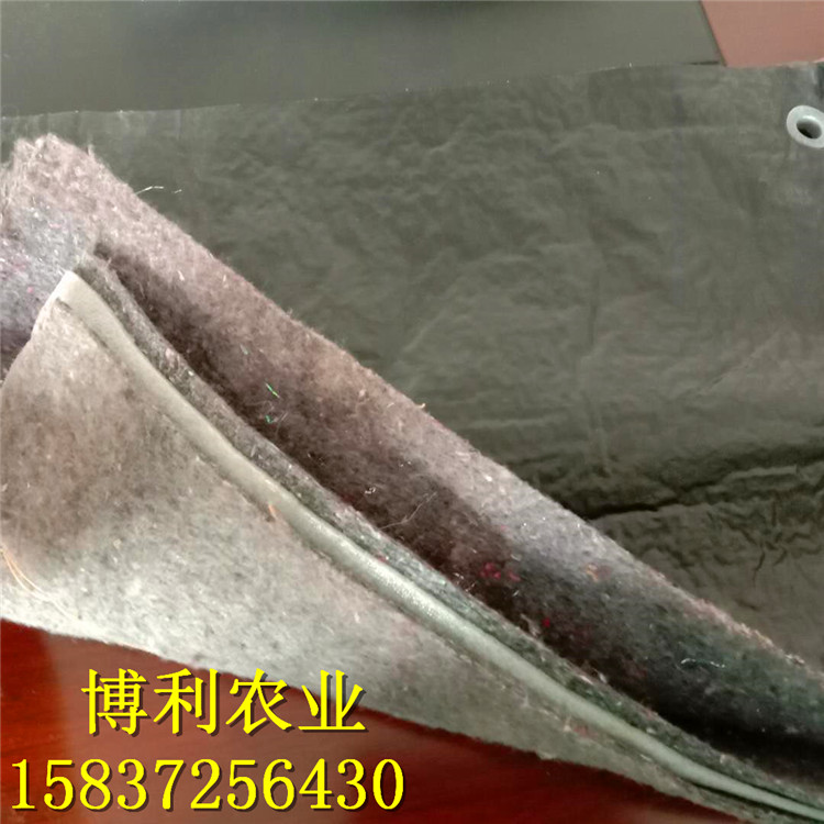 大棚棉被14